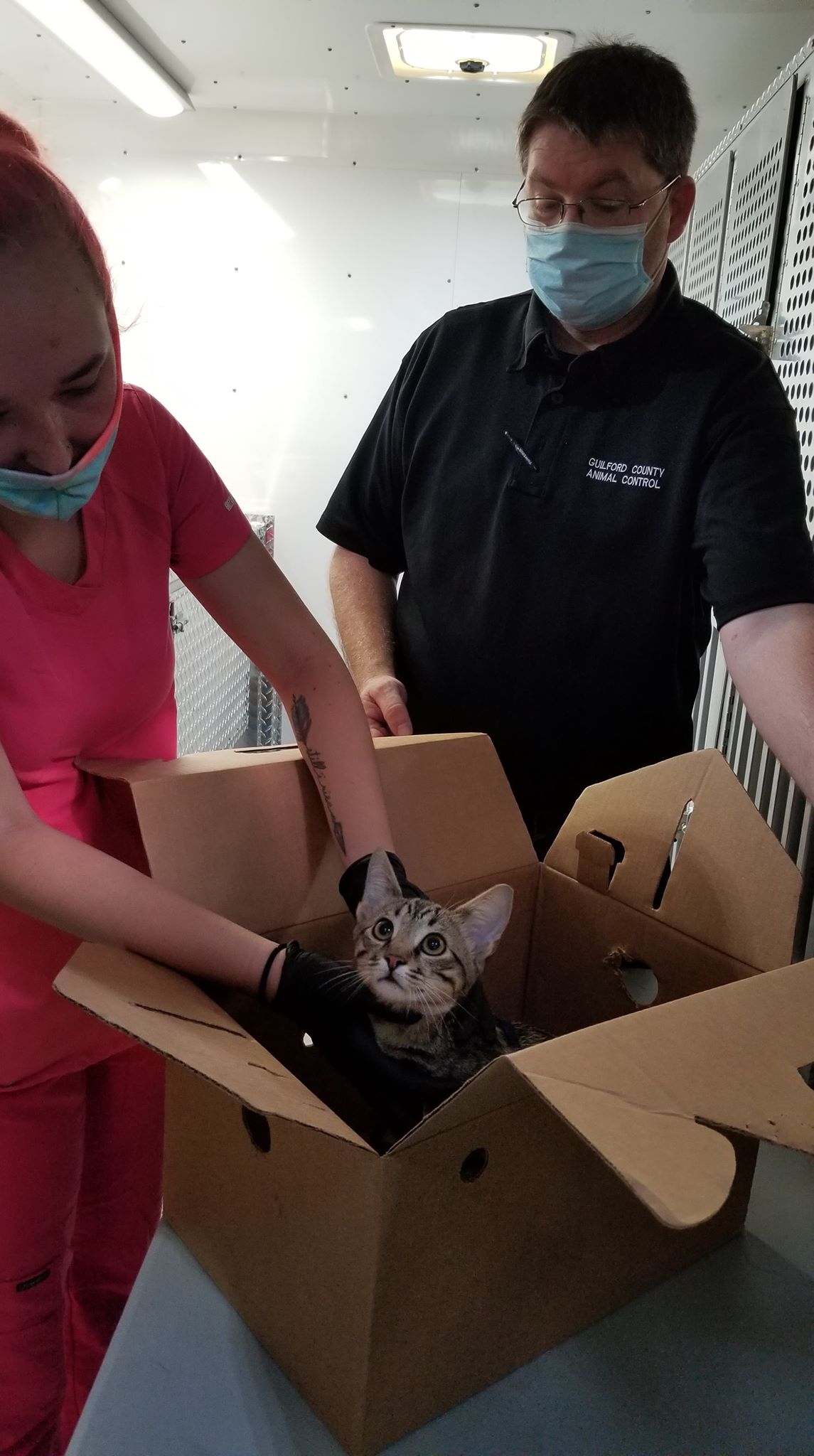 Vet tech and Animal Control officers administering a vaccine to a cat.