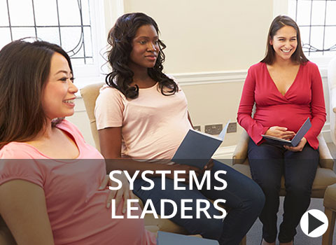 systems leaders