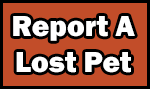 report a lost pet button