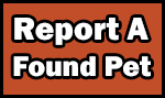 Report a found pet