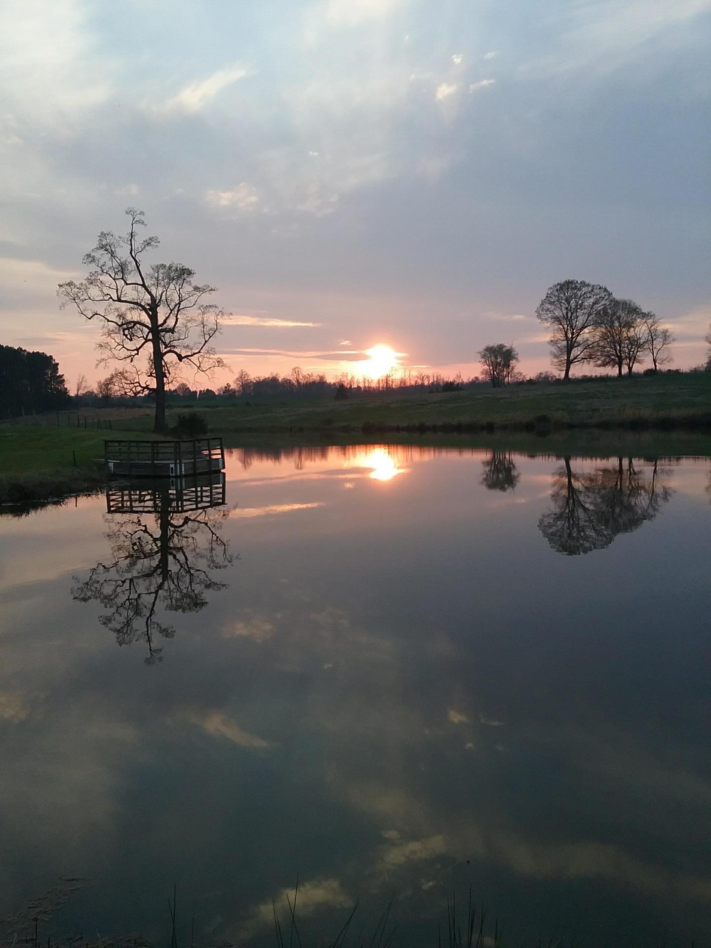 Pond-Sunset