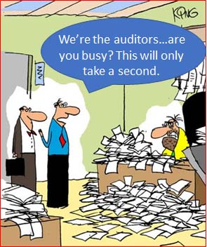 we are the auditors