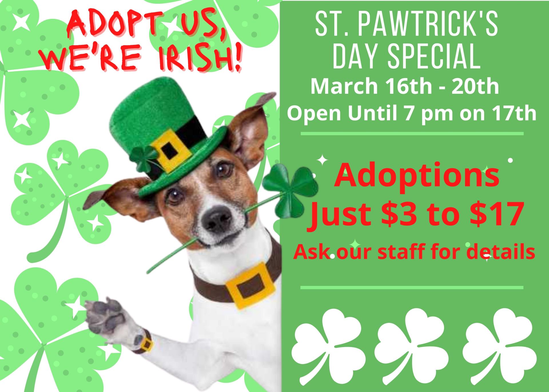 St. Pawtrick's Day Special