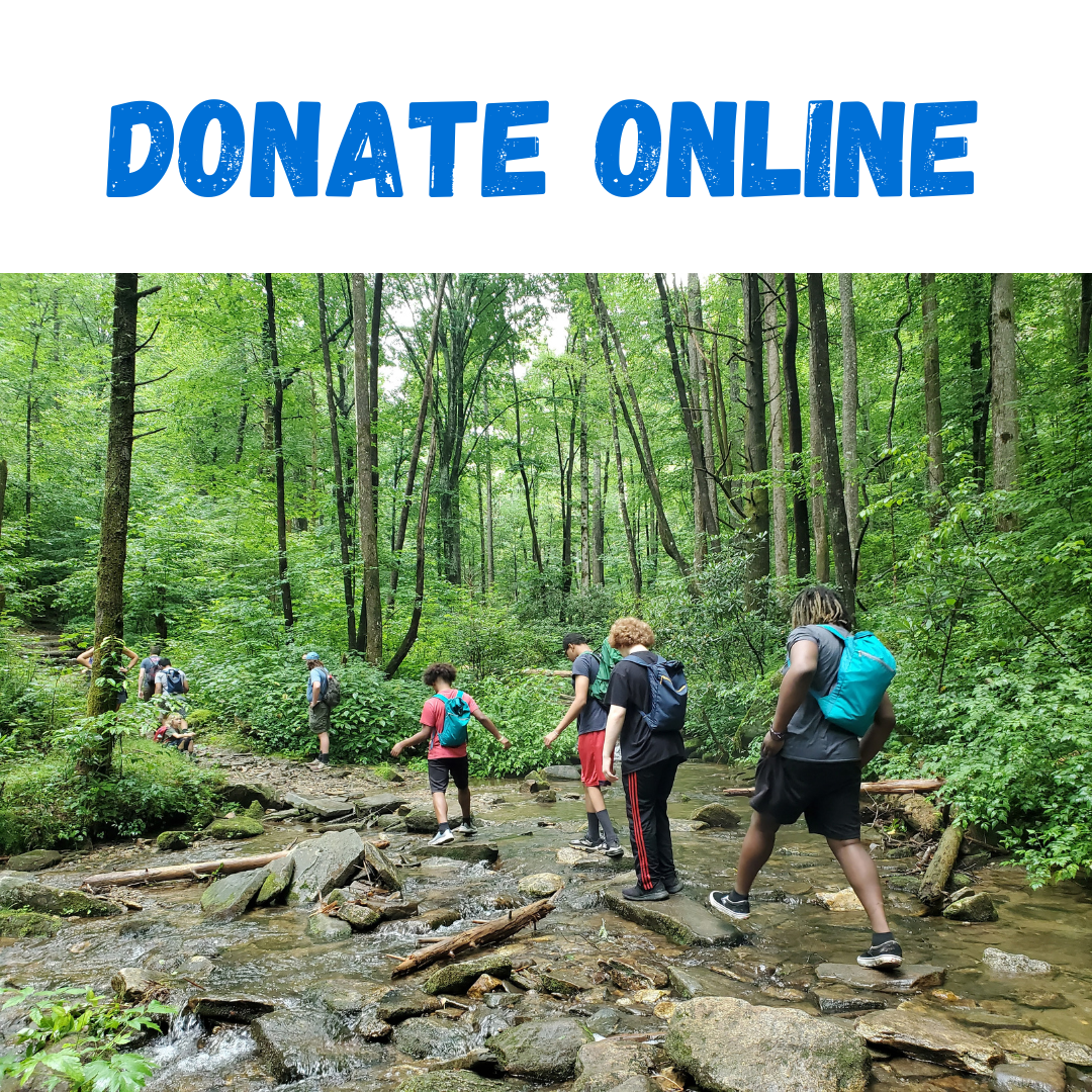 DonateOnline