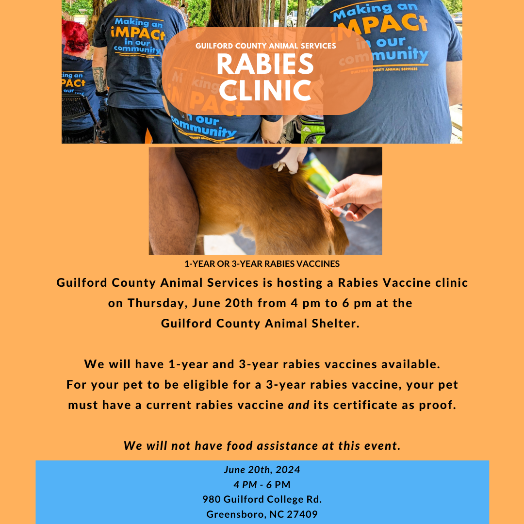 Rabies Clinic (only) Flyer